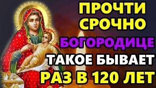 9 марта Самая Сильная Молитва Богородице! ПРОЧТИ МОЛИТВУ! ТАКОЕ БЫВАЕТ РАЗ В 120 ЛЕТ! Православие