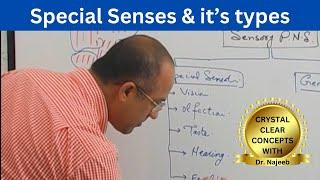 Special Senses & it’s types | Smell, Hearing, Taste & Touch