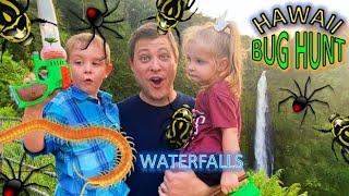 HAWAII Vacuum BUG HUNT Akaka Waterfalls for KIDS! Beetles, SLUG, Spiders, MILLIPEDE, CRICKETS & MORE