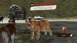 The Wolf - Bobcat Champion In Featured Green Hills 