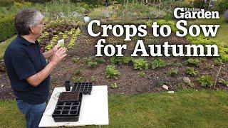 Crops to Sow for Autumn