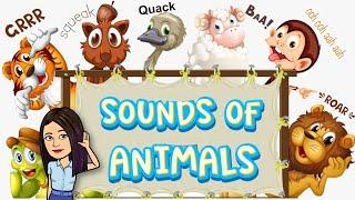 Sounds of Animals | Science | Teacher Beth Class TV