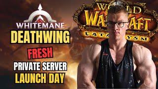 How Was the Launch of Whitemane Deathwing?