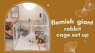 Flemish Giant Rabbit Cage Set Up | Luicidium Clearly Loved Pets Pen Review