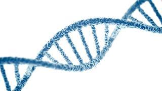 思维漫游27（生命就是DNA，但DNA是如何起源的？）