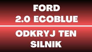 Silnik Ford 2.0 EcoBlue - recenzja, opinie, moc, oleje, zalety, wady, usterki, opinie