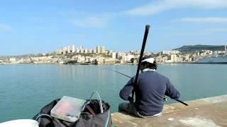 La pesca da riva: Pasture da mare Dynamite Baits per il cefalo