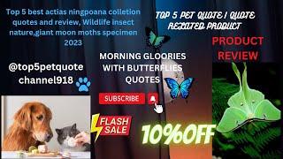 Top 5 best buttrflies quotes and  review, Wildlife insect nature,giant moon moths specimen 2023