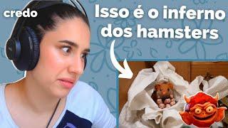 Reagindo a HAMSTER HELL | VÍDEOS VIRAIS DE HAMSTERS #5