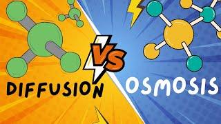 Biology Help: Diffusion and Osmosis explained in 5 minutes!!