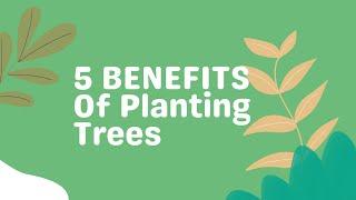 5 BENEFITS Of Planting Trees