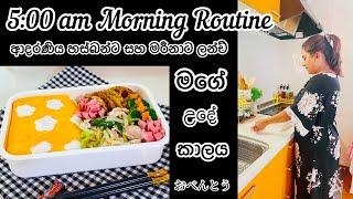 5:00 am morning routinen | එ දෙන්නාට හදපු බෙන්තෝ| Life in japan  Omurice