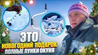 ЭТО  НОВОГОДНИЙ  ПОДАРОК ! ПОЛНЫЕ  ЛУНКИ ОКУНЯ! NEW YEAR'S FISHING.