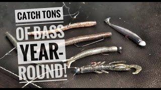 Top 4 rigs for catching numbers of bass year-round!
