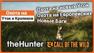 Охота на Европейских кроликов и новых уток в theHunter: Call of the Wild