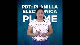 ¿Qué es PDT PLAME?