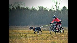 Ciao 2018  First bikejöring start w/A-Manu (feat. yeehaw)