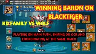 BLACKTIGER WINS BARON! ft. ocrBR 77 - Lords Mobile