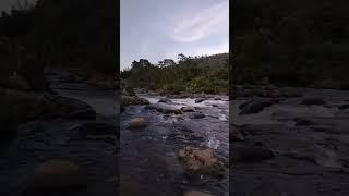 Calming ASMR River Sounds for Relaxation