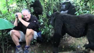 Extraordinary Encounter with Mountain Gorillas in Bwindi, Uganda