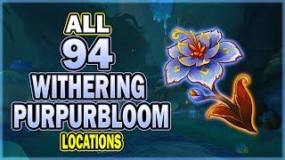 All 94 Withering Purpurbloom Locations - Mavuika / Chasca Ascend Material | Genshin Impact