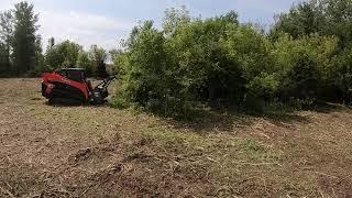 Kubota SVL95 with Loftness G4 Forestry Mulcher