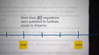 New rules for access to firearms in Brazil