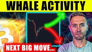 Bitcoin Whales Accumulating! Major BTC Price Update!