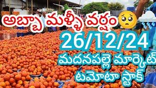 26-12-24 Madanapalle Tomato Market price Today || Today Tomato Market Rate in Madanapalle #today