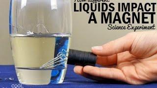 How Liquids Impact a Magnet Experiment