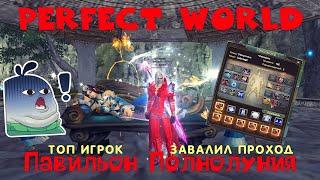 Perfect World - Павильон Полнолуния. ТОП игроки портят пати в PW ШОК. #perfectworld