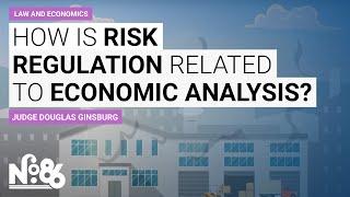 How is Risk Regulation Related to Economic Analysis?