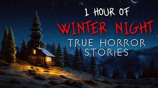 1 Hour of Winter Horror Stories for a Cold Night Alone | Vol. 1 (Compilation)