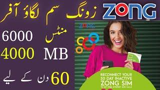 Zong sim lagao offer | zong sim offer