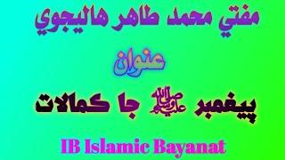 Mufti Muhammad Tahir Halejvi | New Bayan | پيغمبر ﷺ جا ڪمالات | IB Islamic Bayanat