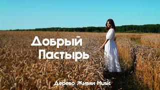 Добрый Пастырь || Дерево Жизни Music feat. Анастасия Онищук