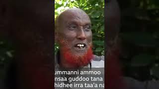 jimaa #duet  #news #OMN #motivation #amazing #funny #agricultureworldwide #comedy #በቀጥታ ተከታተሉ#ፋና ዜና