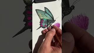 Watercolor Tutorial: Metallic Butterfly with Skrim Watercolors| Step-by-Step Painting