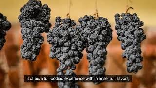 Bertani Amarone Wine Experience