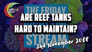 Are Reef Tanks Hard? Saltwater Beginner Special The Aarons Aquarium Friday Night Live Stream