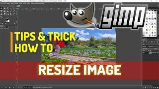 Gimp How To Resize Image