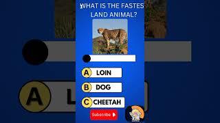 What is the fastest land animal? #brainbuzz #quiz #challenge