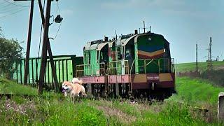 Тепловозы ЧМЭ3-1908-5732 с грузовым поездом. Бессарабка