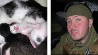 Ukrainian Soldier Helps A Cat Give Birth On The Front Line