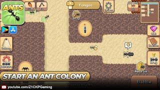 Pocket Ants: Colony Simulator Gameplay Android / iOS - Z1CKP Gaming