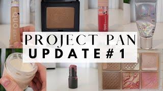 The first project pan update of the year //  january project pan update // project pan update #1