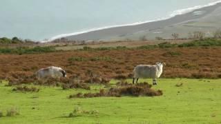 ENGLAND Exmoor national park (hd-video)