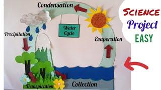 Water Cycle Science Project| Water Cycle Science Model| Science TLM Easy|Class decoration ideas|TLM