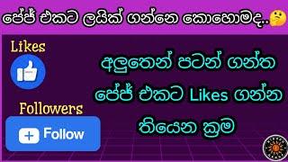 How to Get Facebook Page Likes Organic for Beginners Sinhala | මුල ඉදන් පේජ් එකේ Likes ගන්න ක්‍රම