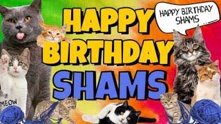 Happy Birthday Shams! Crazy Cats Say Happy Birthday Shams (Very Funny)